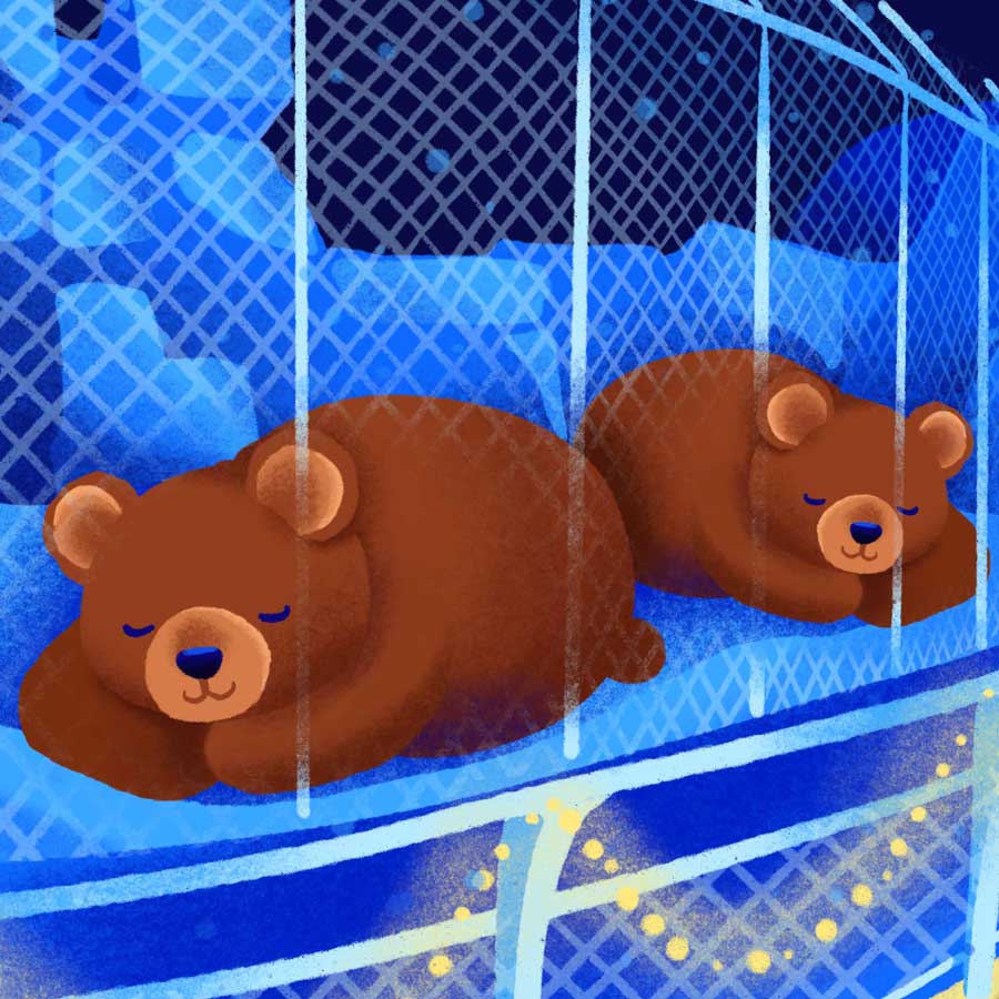 Illustration of bears